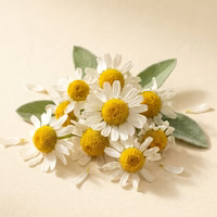 Kamillebloem