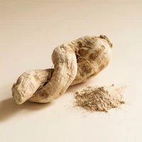 Ashwagandha wortel